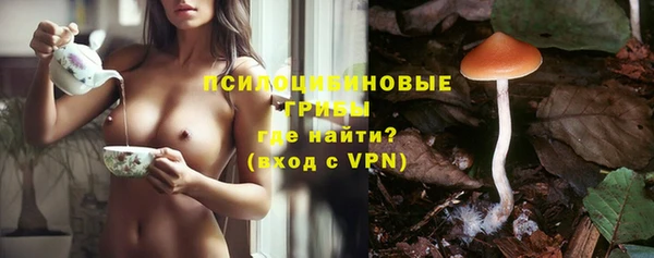 альфа пвп Куйбышев