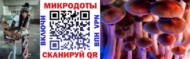 Псилоцибиновые грибы мухоморы  купить наркотик  Северская 